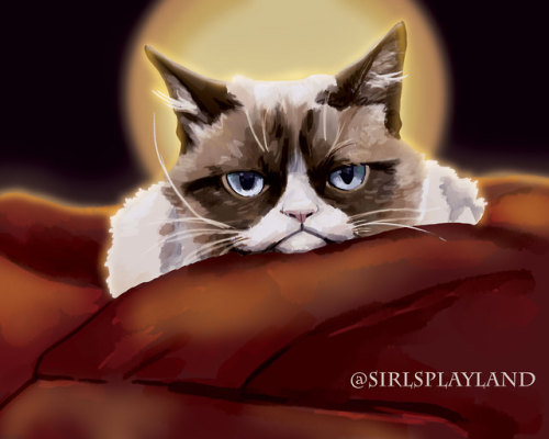 sirlsplayland:Rip grumpy cat I wanted to make a nice portrait of Tardar sauce owner because I know a