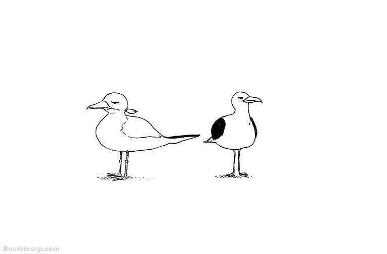 bouletcorp:  I’m sorry (not).