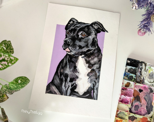 Gouache pet portrait commsEddie the miniature bull terrier &amp; Martha the staffie