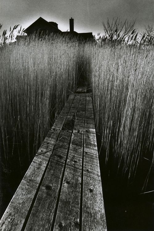 Porn last-picture-show:  Jeanloup Sieff, The Black photos