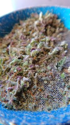 h0llowkid:   that purp 