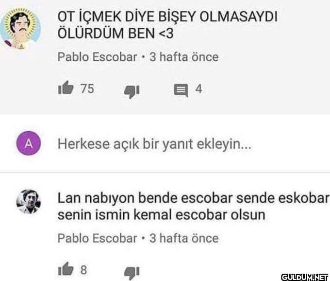 www A OT İÇMEK DİYE BİŞEY...