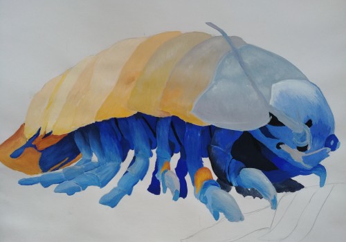 veetroglycerin:Isopod isopod isopod isopod isopod Painted an isopod for class because I like them od