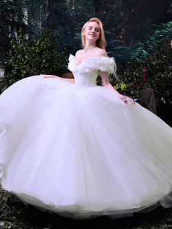 tbdressreviews:   Ball Gown Appliques Cinderella