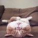 catasters: