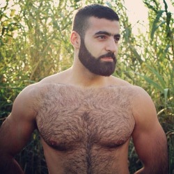 Wild-4-Hairy