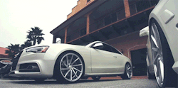 audivolksgermancrisis:  Started an instagram page for more edited and family whips! Following back first 100 followers! IG jessefungphotography!