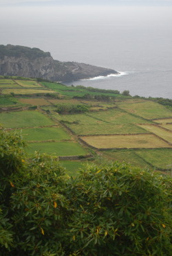 cityhoppersgarden:  Green Terceira coastline, Azores,  Portugal   photography by cityhopper2    