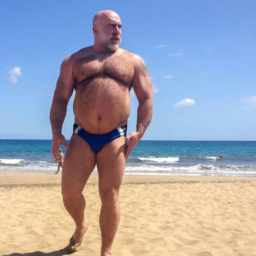 spartacubs:  nippletheory:  hairymeat:  Fuck. Me.  Yeah, pretty much.  Hello daddy 