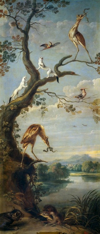 wtxch: Frans Snyders (Flemish, 1579–1657)Aquatic Birds with Ermines ,1630s