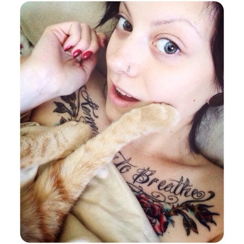 ceresleigh:  Cat-face-palm 😏🐈💕 #catsofinstagram #ceres #cat #loki #snuggle