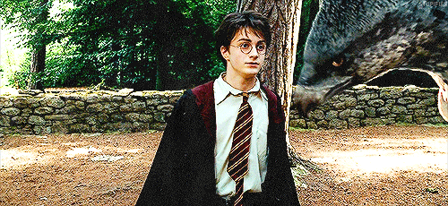 Harry Potter