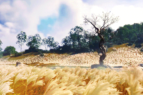 itspapillonnoir:  Ghost of Tsushima - Scenery [42/?]↳ Wolf Cub Falls