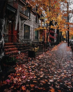 bookofoctober:Autumn in Montreal. Photos by karlvibes