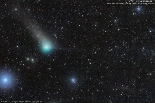 Comet PanSTARRS in the Southern Fish : Now approaching our fair planet this Comet PanSTARRS , will b