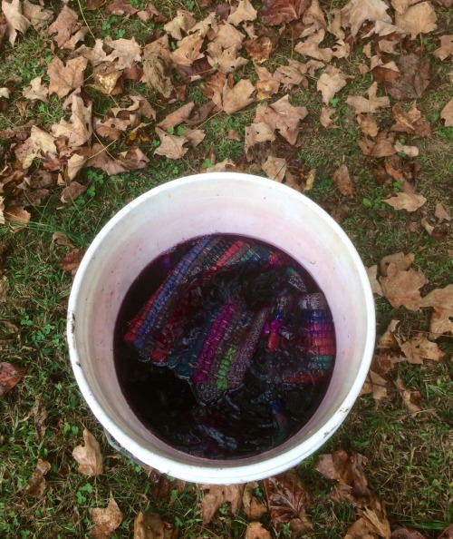 granny-witch:Dying rugs purple!!