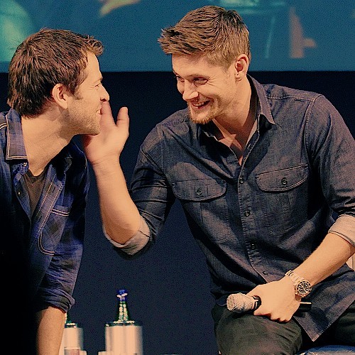 sammybitchfacewinchester:  So my friend thinks Jensen and Misha are a gay couple