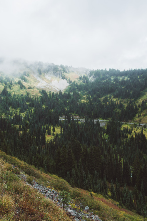 Mountain Meadows