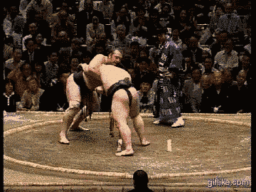 doropito: 朝青龍、2mを超える琴欧州を投げる Asashoryu throws 2m over Kotooushu 