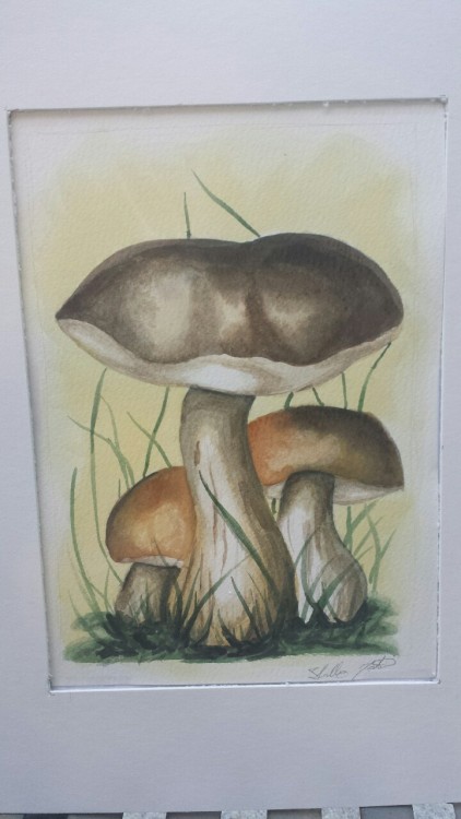 professorsilly:  My water colour final project.