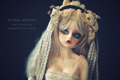 neocheung:  【Sika】 End+