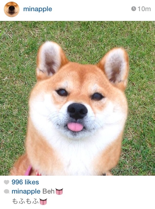 hohokev:  Beh👅