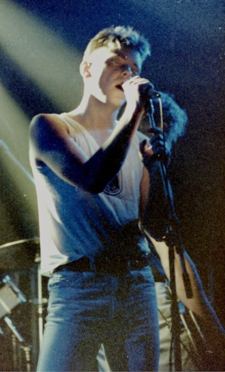 nogboy: New Order live in Amsterdam, 1984