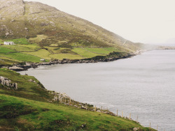 jacindaelena:   Ireland by florescent  