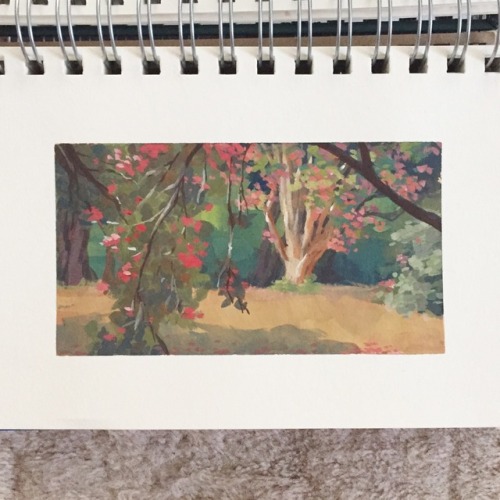 Quick 1.5-hour plein air today because insects started attacking us.