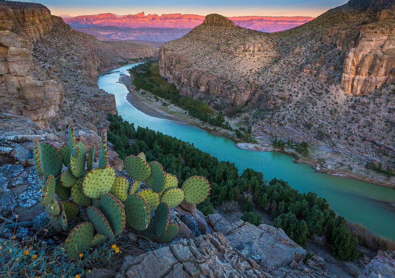 sixpenceee: Big Bend National Park is the largest protected area of Chihuahuan Desert