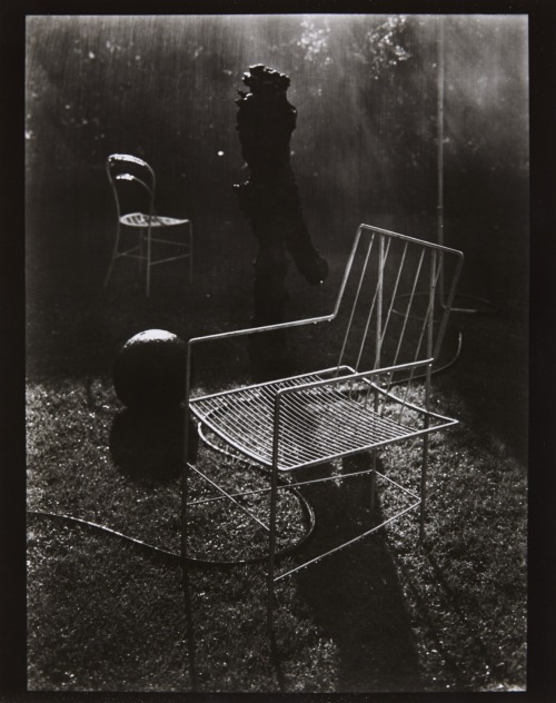 Untitled (from the cycle: The Windows of My Studio), 1954 Josef Sudek  