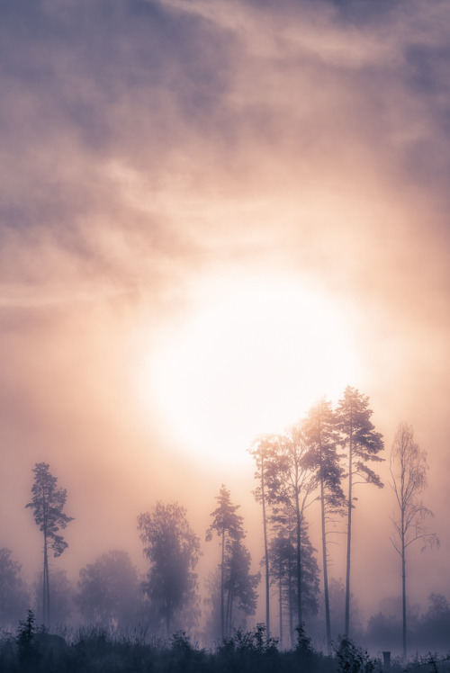 l0stship:  Day has come / by Jaakko Paarvala (source)