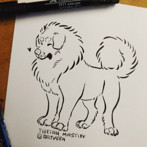 Got new ink pens and tried them out on some Brtistol paper. I love them!  Happy Year of the Dog 