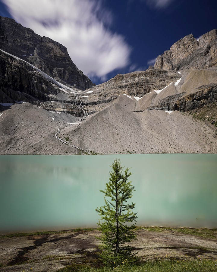 Lone larch at Zigadenus Lake. Think this is pretty? Now imagine this tree turning bright yellow within the next few days. ⁠
⁠
Larch season is about to begin in Banff National Park! One last explosion of colour before winter arrives. 🍂 I’ll be back at...