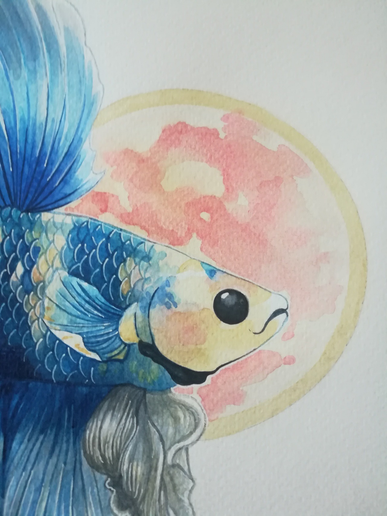 chewybitart:for Elias Buster Fox Thomas Swim in piece pretty little guy. Thank you