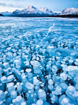 jedavu:  Frozen Lakes Patterns With the fall of temperatures, we have gathered for you the most beautiful photographs of frozen lakes and ponds from all around the world : Russia, Switzerland, Japan or also in Canada, their frozen surfaces are full of