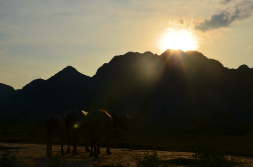 Photographic highlights of Phong Nha-Ke Bang