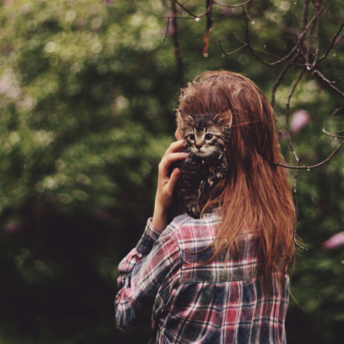 fotosfornovelas:  -Chicas con Gatos-Gatos