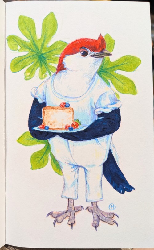 Avian August Day 23 - Araripe Manakin With Angel Food Cake