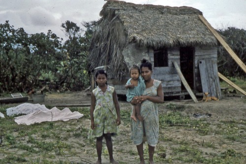 historylover1230:Miskito- The Miskitos are a Central American people found predominantly in Nicaragu