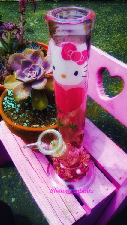 shelovesplants: She’s all clean sitting on my princess chair drying in the sun☀️ soon she will