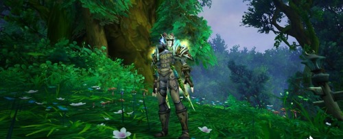 My Illidari withhis green ‘mog.