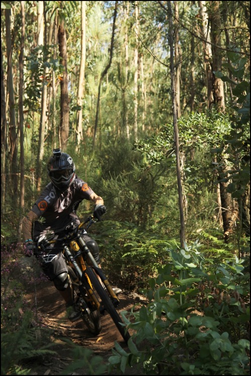 nunodhlopes:  RIDER : Nuno Lopes