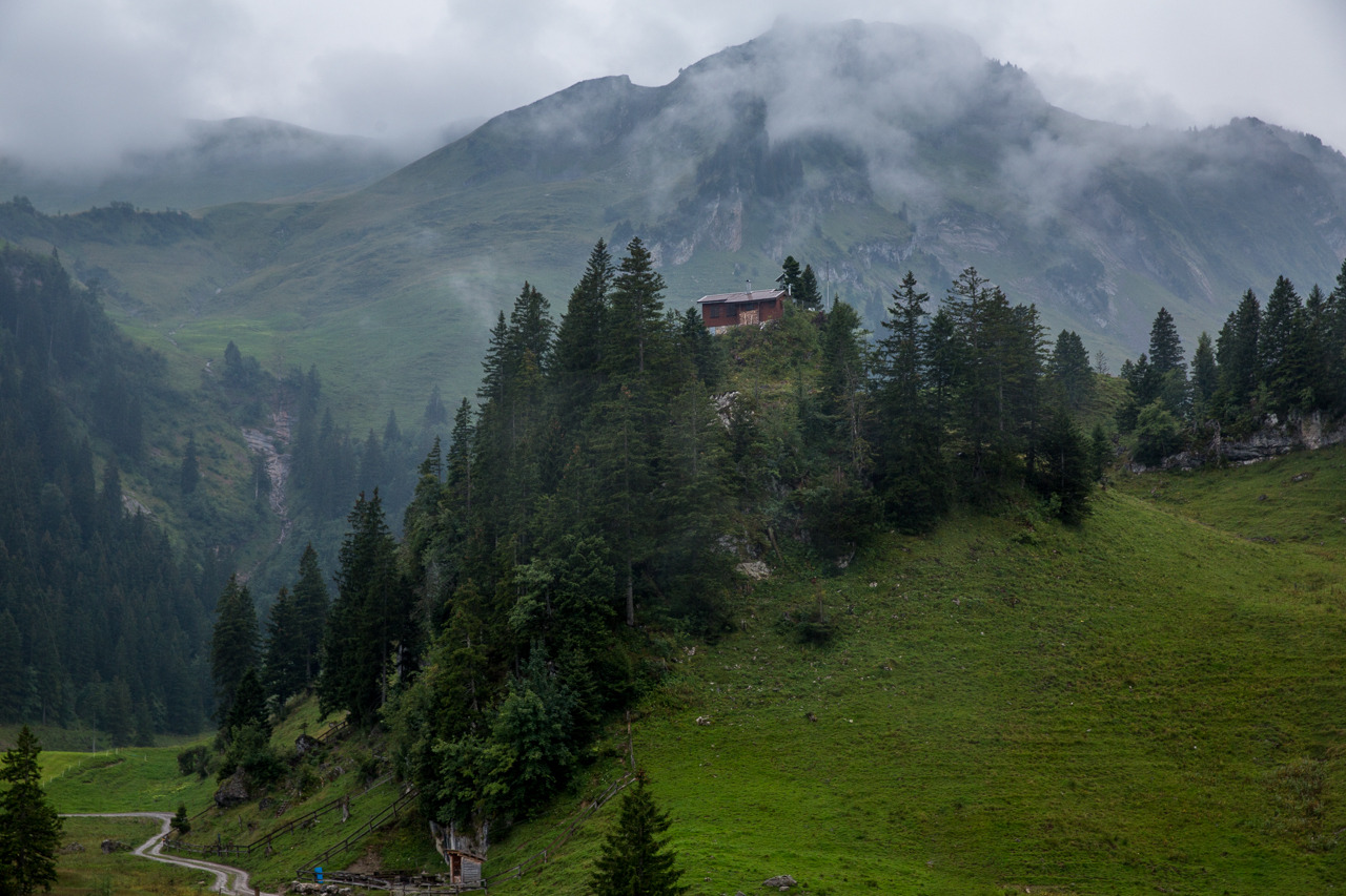 samhorine:  switzerland - august 2014