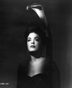 les-sources-du-nil:  Faith Domergue as Lisa Moya in Cult of the Cobra Dir. Francis D. Lyon, Universal Pictures, USA, 1955 