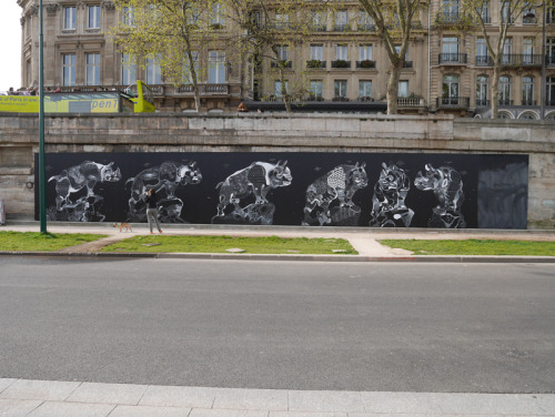 itscolossal:  Impermanent Animal Murals Drawn with Chalk and Oil Pastel by Philippe Baudelocque