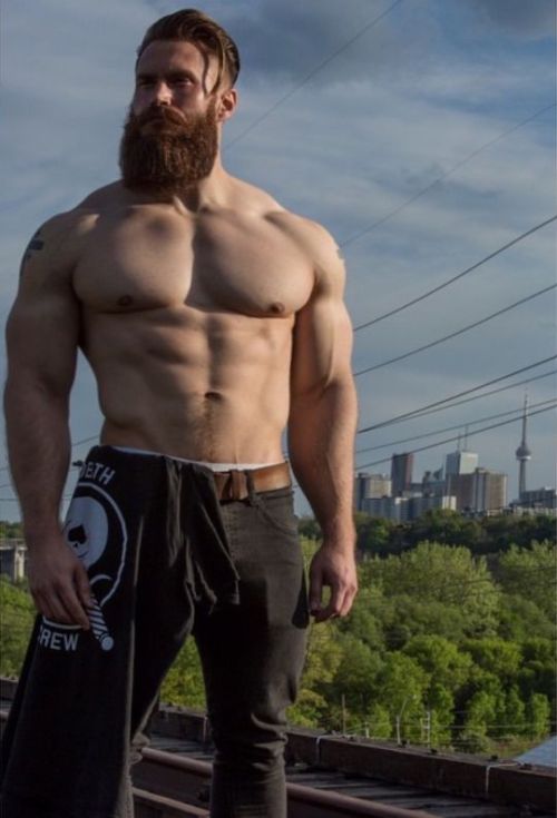 gingermanoftheday:  June 24th 2016  http://gingermanoftheday.tumblr.com/