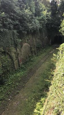 abandonedography:   Abandoned Railway and