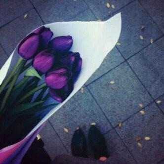 🇶🇦 دآنـه