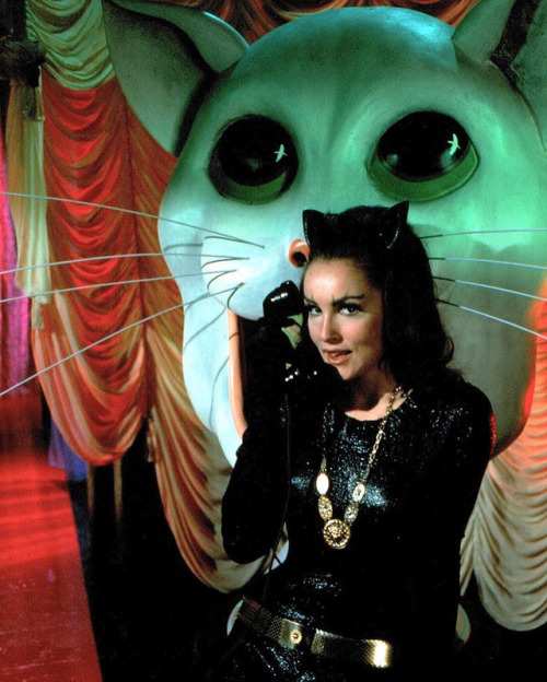 vintage-old-hollywood: My favourite cat woman Julie Newmar…who is your favorite cat woman? 